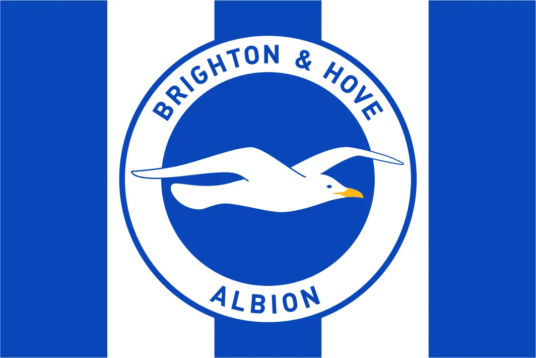 Brighton & Hove Albion Flag